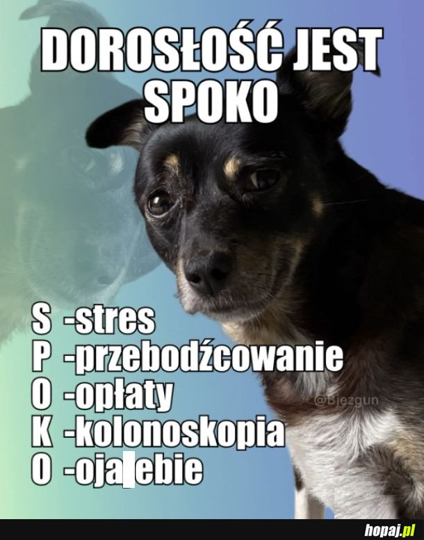 SPOKO