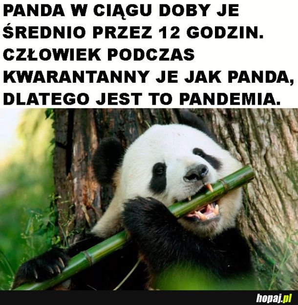 I  wszystko już jasne