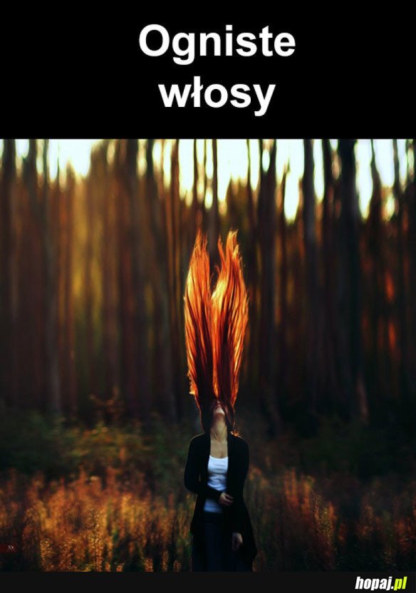 ŚWIETNE UJĘCIE