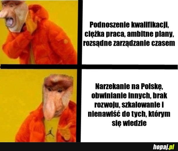 PROSTY WYBÓR