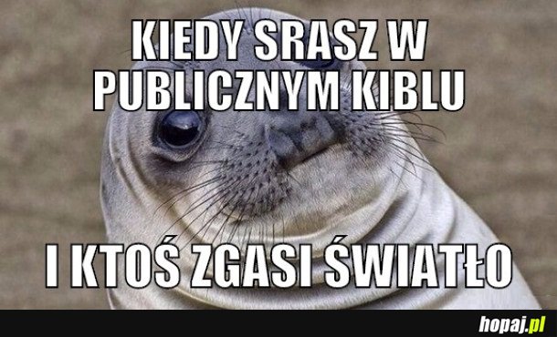 KIEDY SRASZ W PUBLICZNYM KIBLU