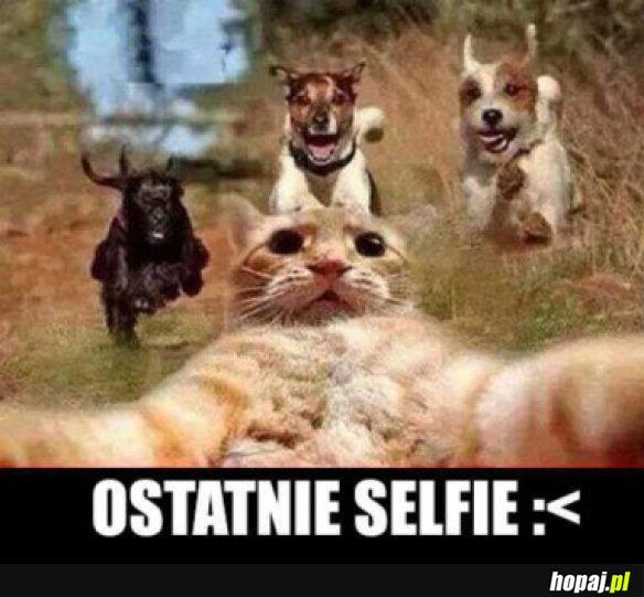 Ostatnie selfie