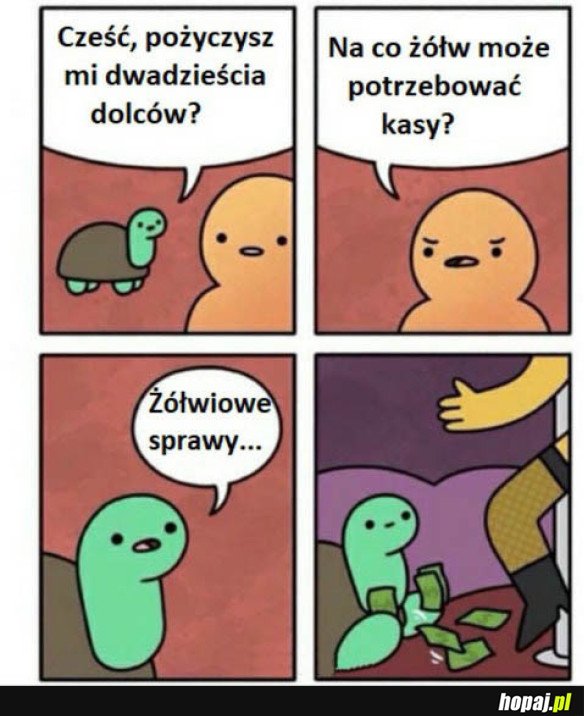 TAKIE TAM ŻÓŁWIOWE SPRAWY