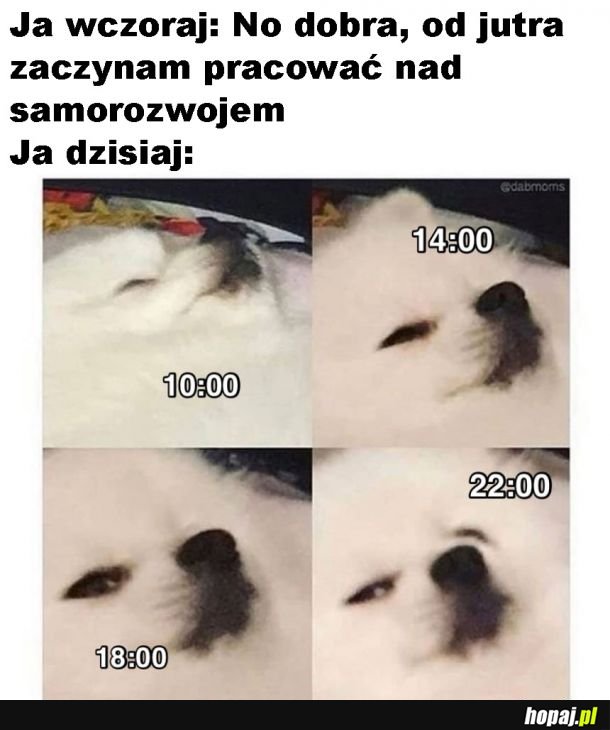 Samorozwój