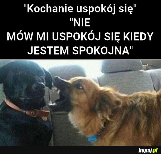 Kochanie uspokój sie 