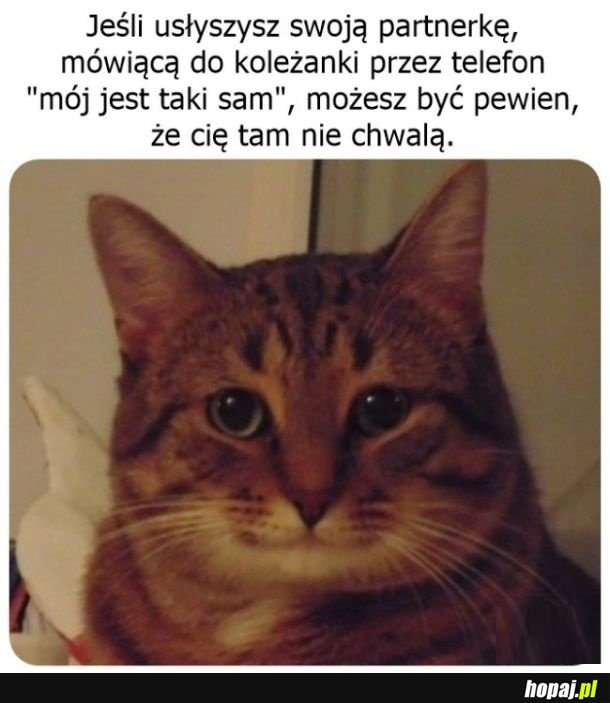 Zgadza się xd