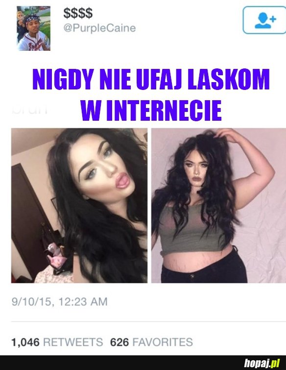 Nigdy