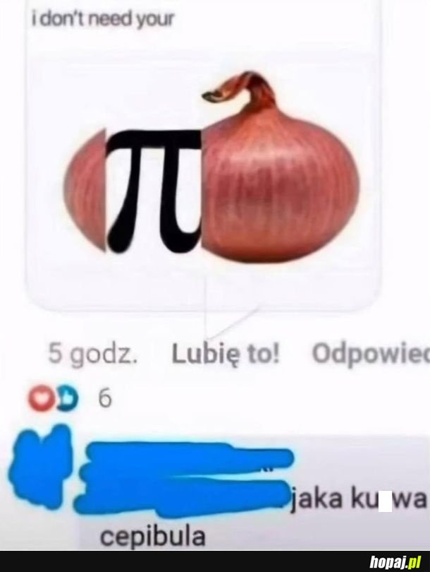 Sucharek rebusowy