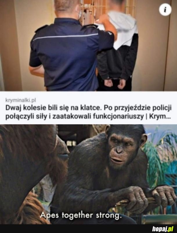 Magia przyjaźni irl