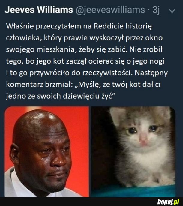 Pomoc nadeszła