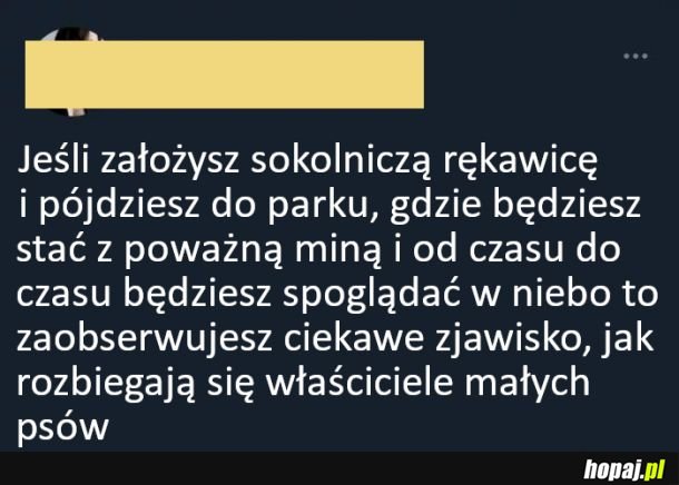 Trollowanie w parku