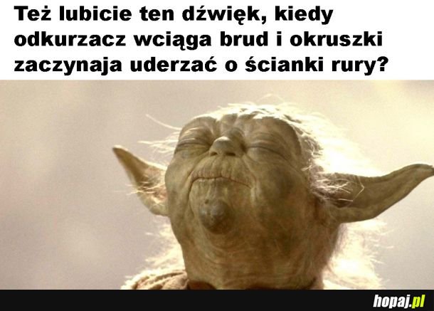 Miód dla uszu