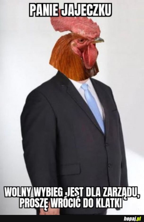Areczek
