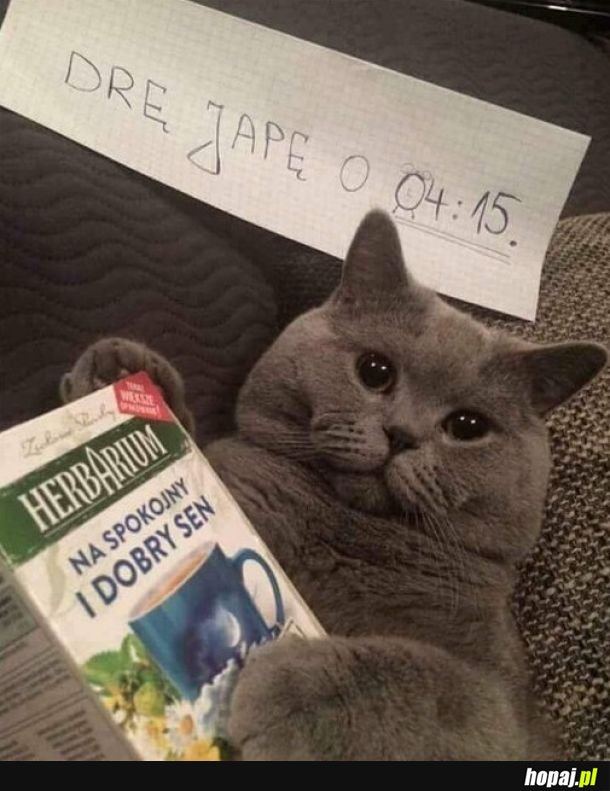 Czas na publiczne upokarzanie