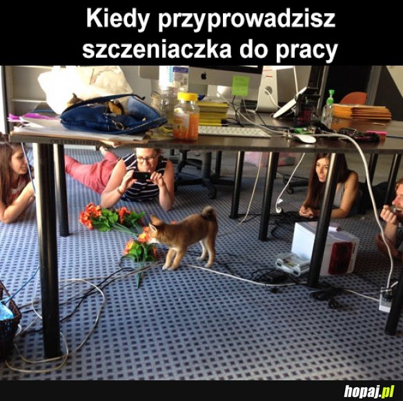 Tak to się kończy