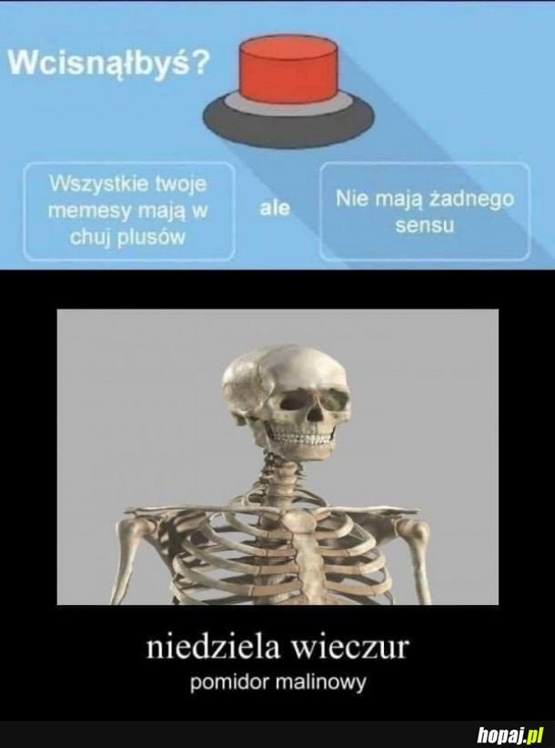 Tworzenie memesów