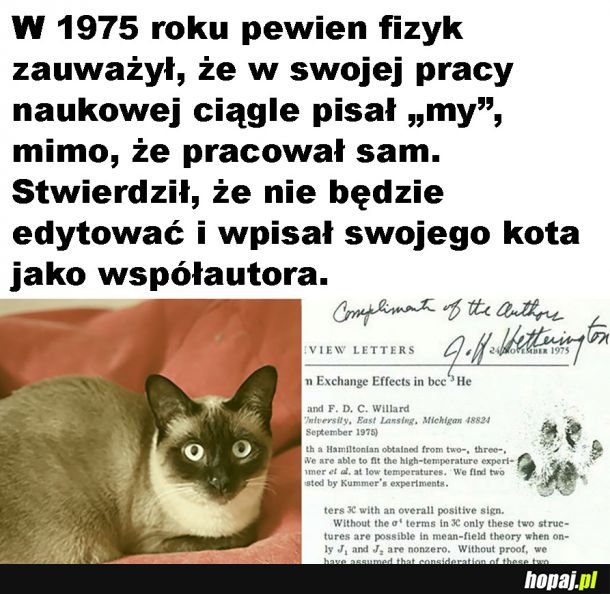 Kitku naukowiec