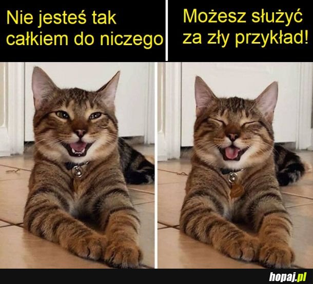 Każdy może się przydać