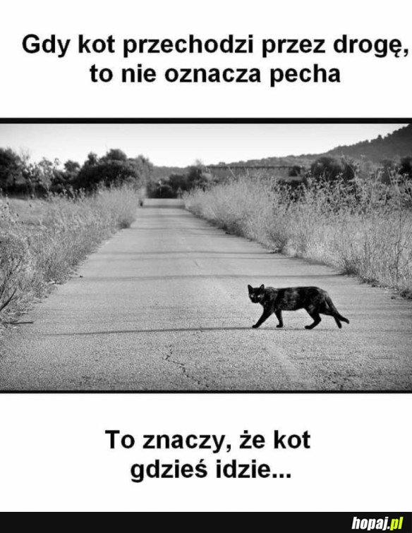 MĄDROŚĆ ŻYCIOWA