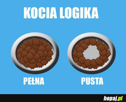 Kocia logika