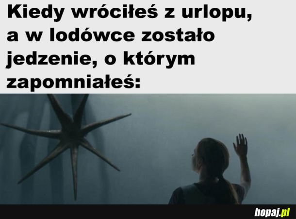  Coś urosło 