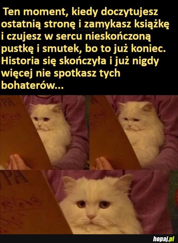 Książka