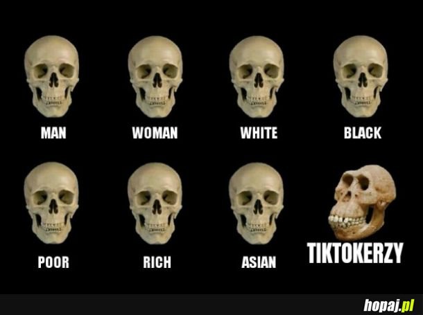 Rodzaje czaszek ludzkich