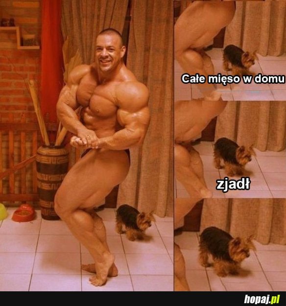 Paker