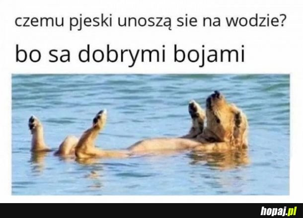 Boja