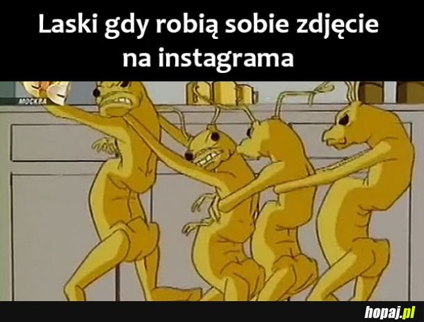  Laski na insta