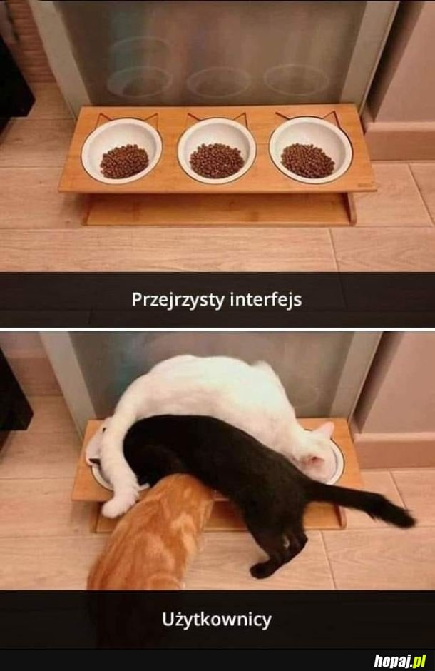 Interfejs