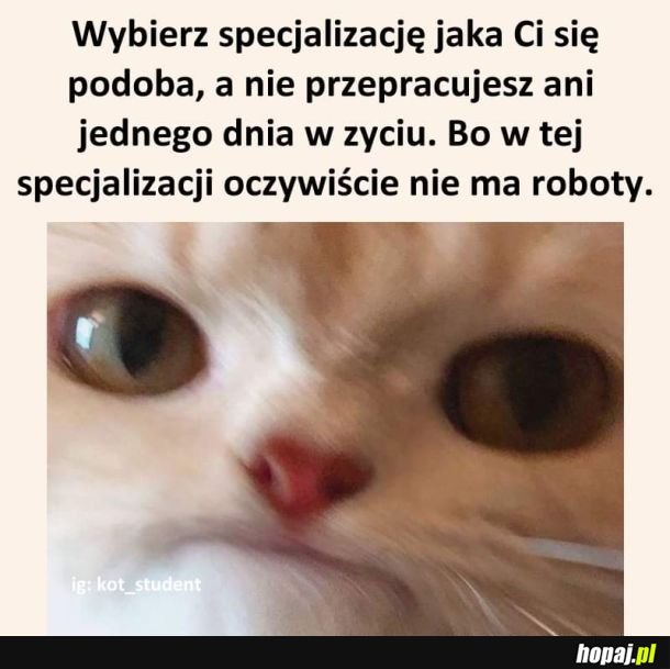 Sadge