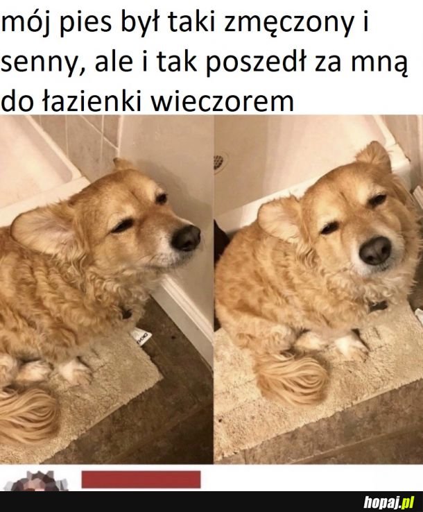 A nuż będziesz tam zreć