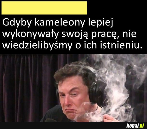 To się dogadali