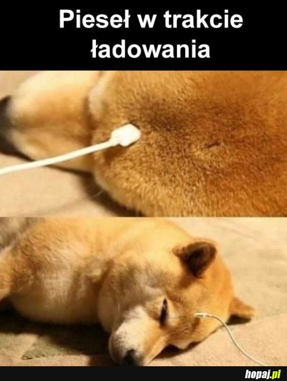 ŁADOWANIE PIESEŁA