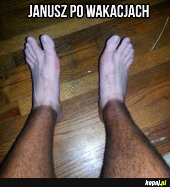 Janusz