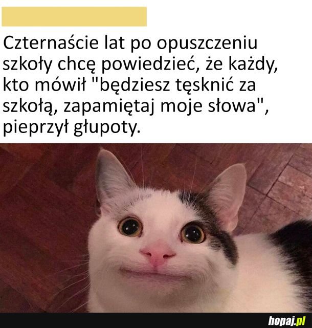 Jakoś nie tęsknię