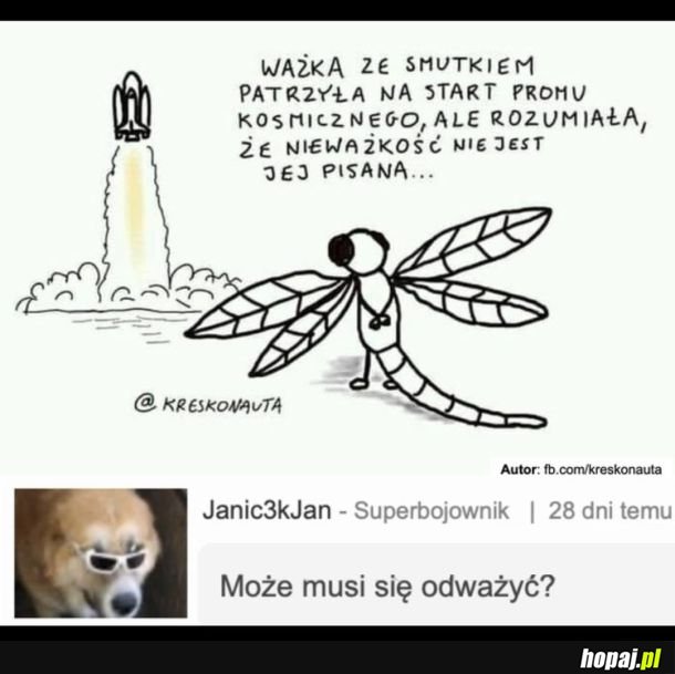 Smutna ważka