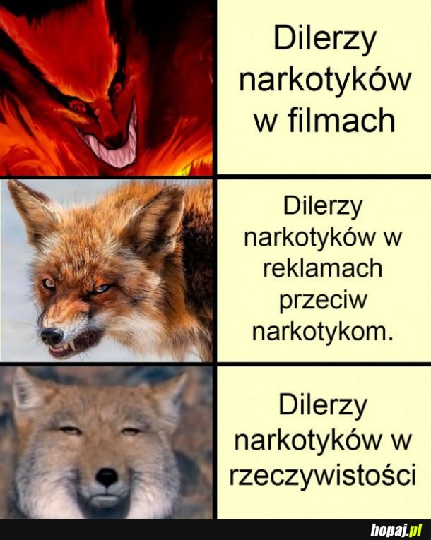 Dilerzy