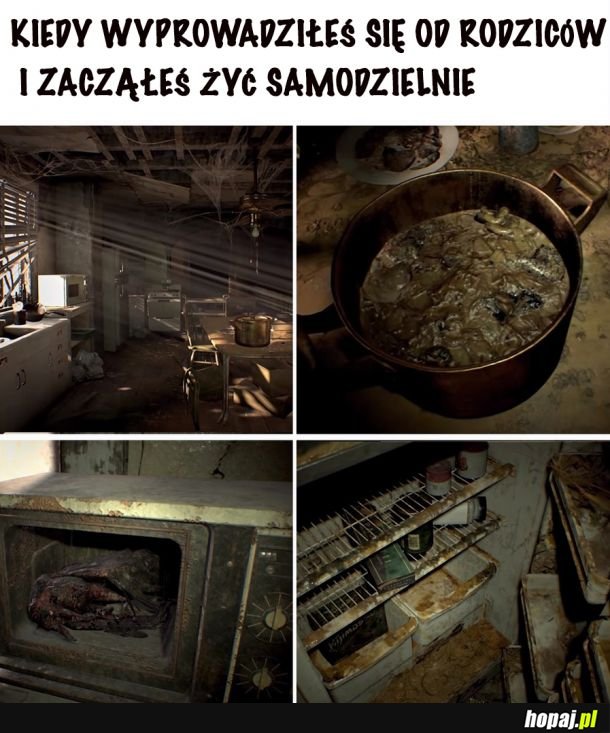 Samodzielność 