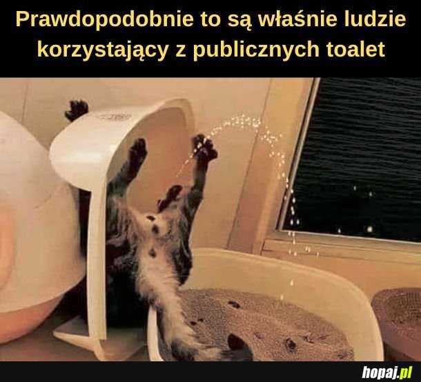 Prawdopodobnie. 