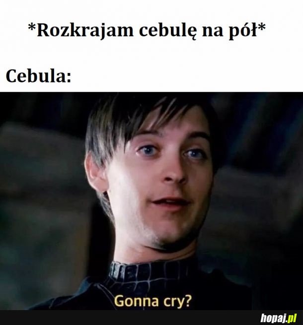 Cebula