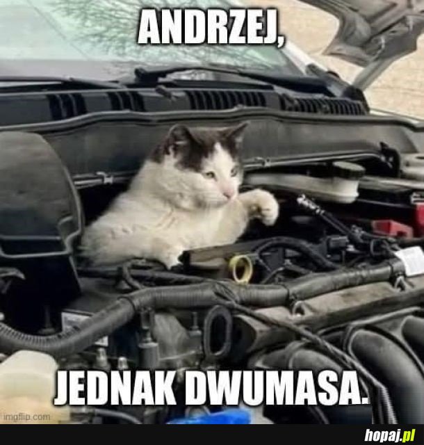 Mechanik