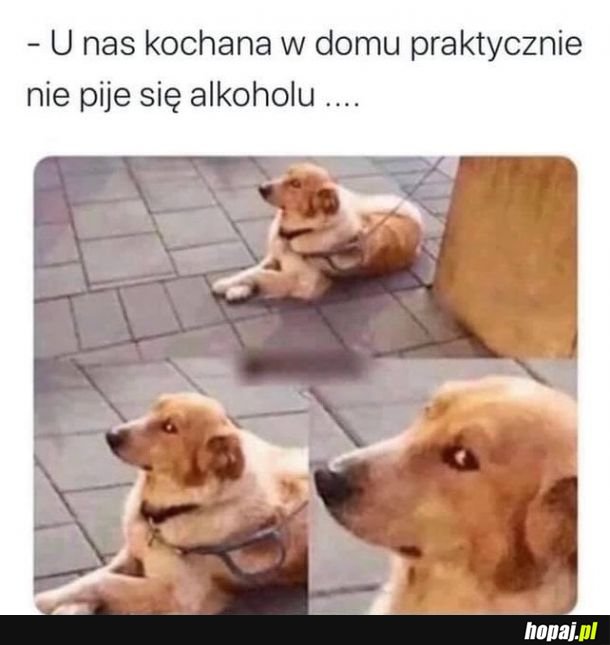 &quot;Tak, Grażyna, nie pije a chleje...&quot;