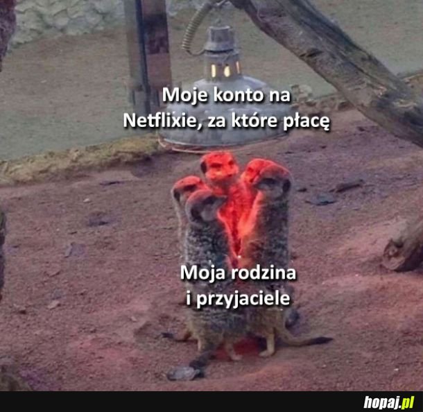 A to pijawki