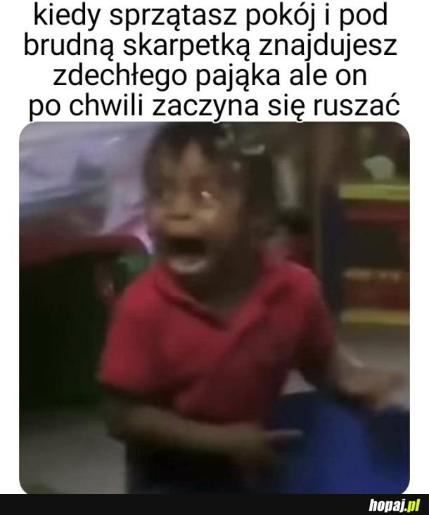 Zawał