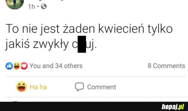 Kwiecień plecień co przeplata trochę zimy trochę...