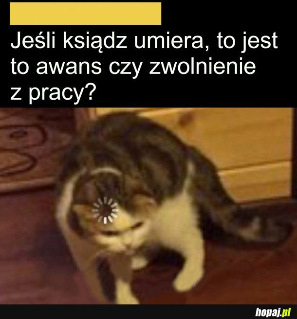 Oto jest pytanie