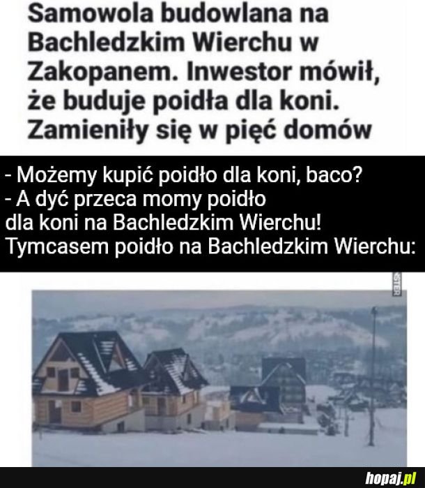 20 zl za oglądanie mema