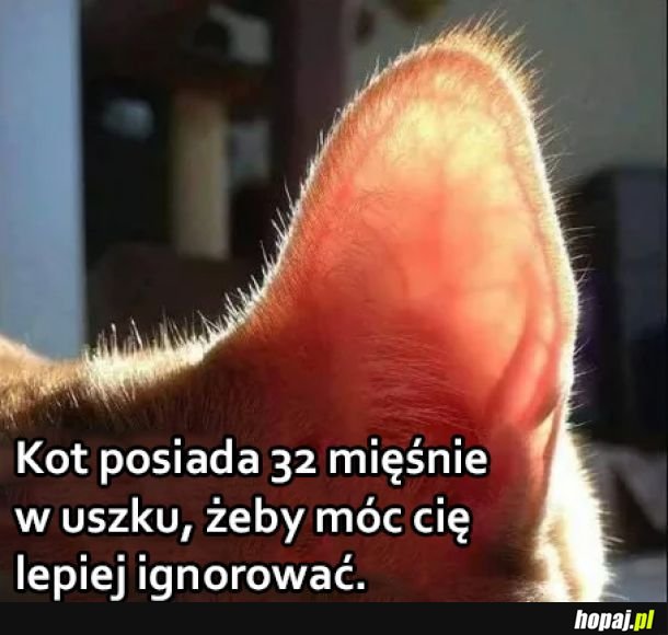 Dobrze wiedzieć